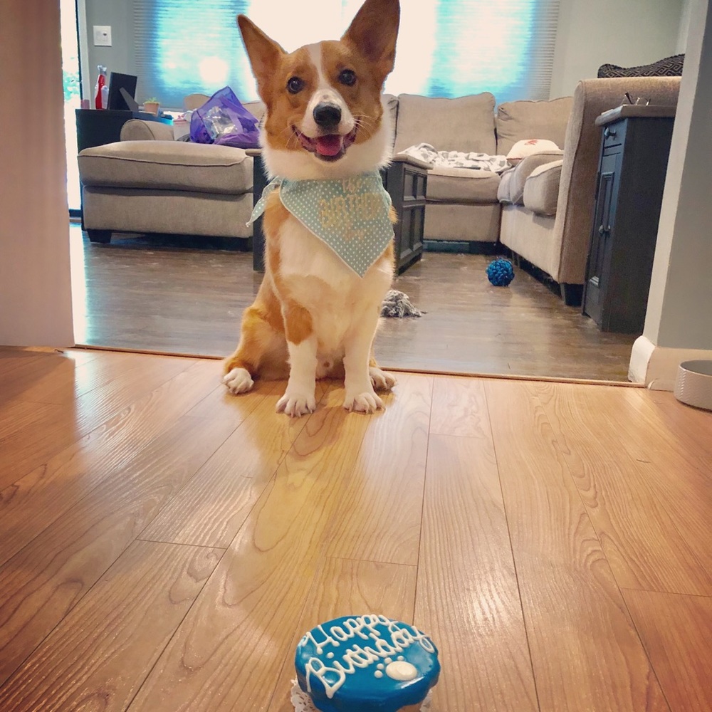 Meet the staff & the Poshing Peach 🖤🍑